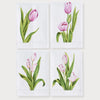 Hand Painted Tulip Tea Towel Design 4